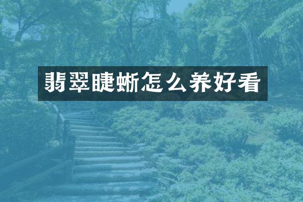 翡翠睫蜥怎么养好看