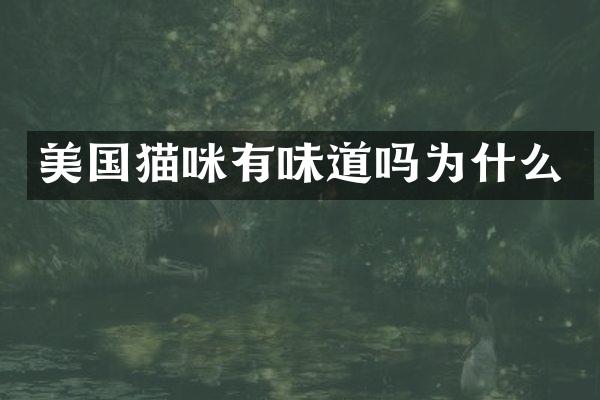 美国猫咪有味道吗为什么