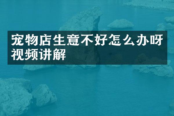 宠物店生意不好怎么办呀视频讲解