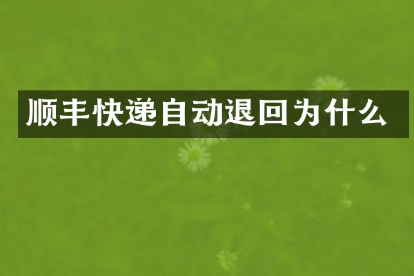顺丰快递自动退回为什么