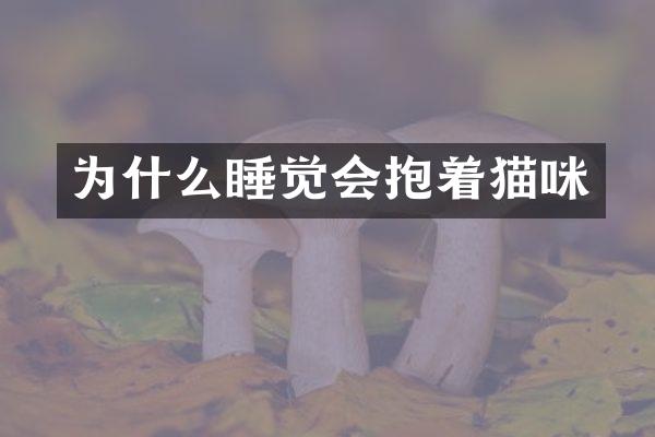为什么睡觉会抱着猫咪