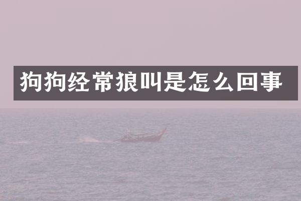 狗狗经常狼叫是怎么回事