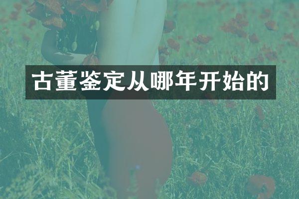 古董鉴定从哪年开始的