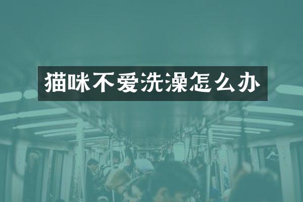 猫咪不爱洗澡怎么办