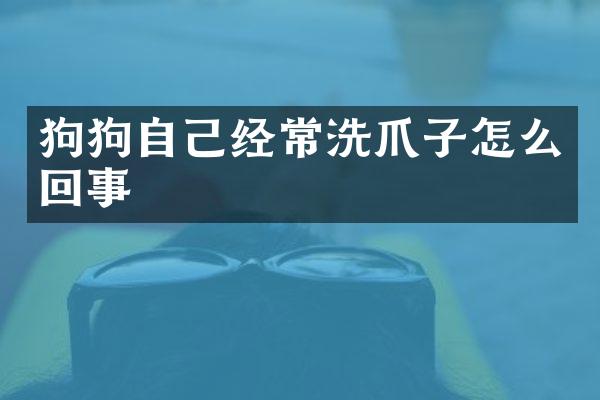 狗狗自己经常洗爪子怎么回事