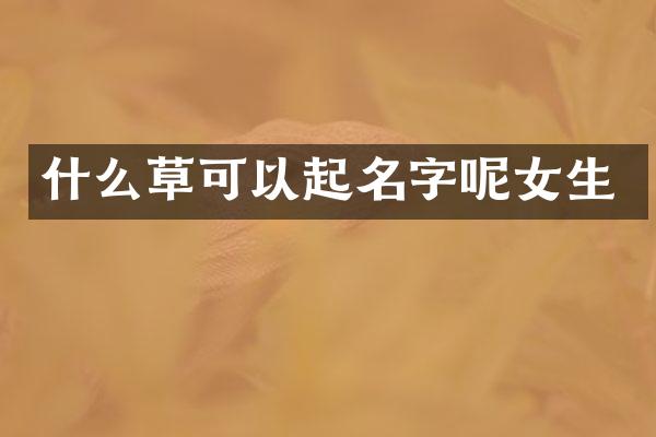 什么草可以起名字呢女生