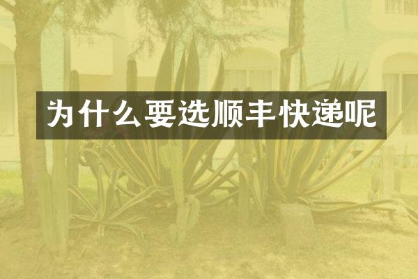 为什么要选顺丰快递呢