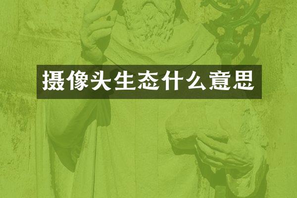 摄像头生态什么意思