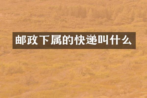 邮政下属的快递叫什么