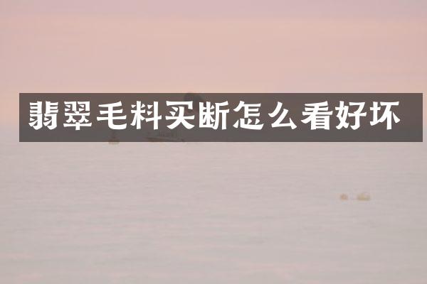 翡翠毛料买断怎么看好坏