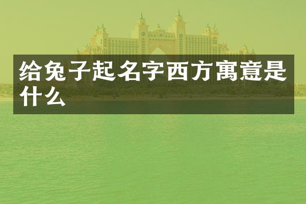 给兔子起名字西方寓意是什么