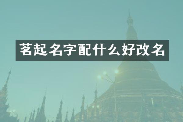 茗起名字好改名