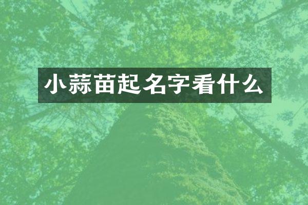 小蒜苗起名字看什么