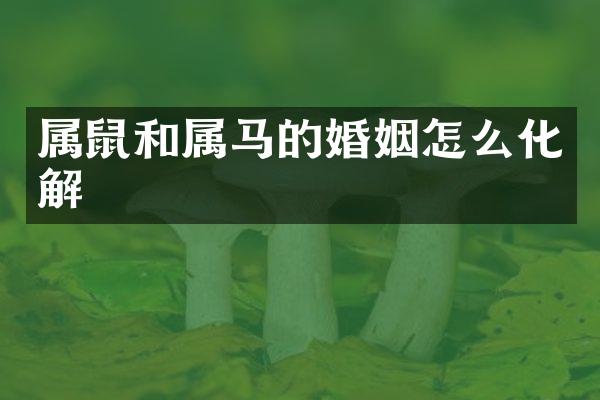 属鼠和属马的婚姻怎么化解