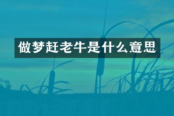 做梦赶老牛是什么意思