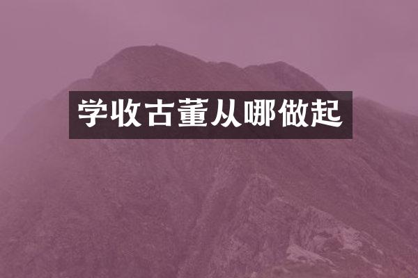 学收古董从哪做起