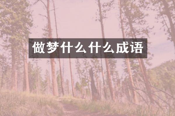 做梦什么什么成语
