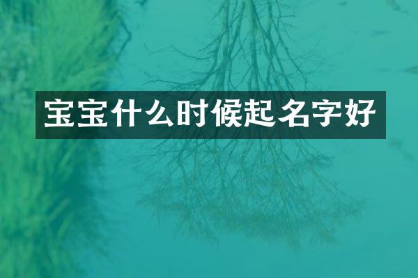宝宝什么时候起名字好