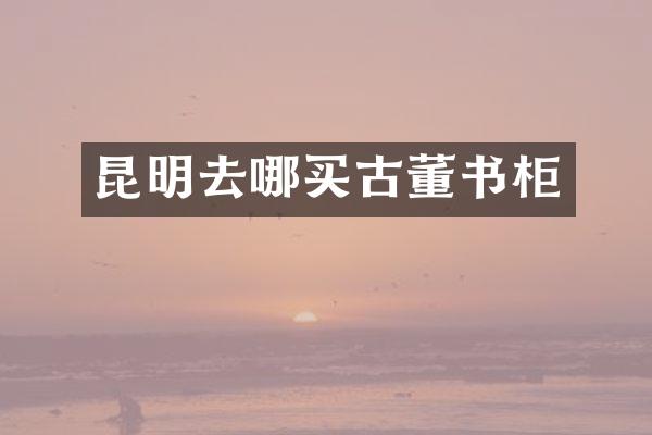 昆明去哪买古董书柜