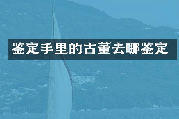 鉴定手里的古董去哪鉴定