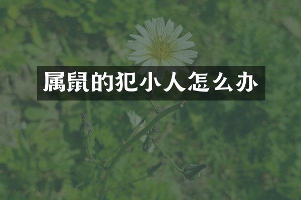 属鼠的犯小人怎么办