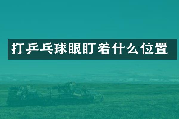 打乒乓球眼盯着什么位置