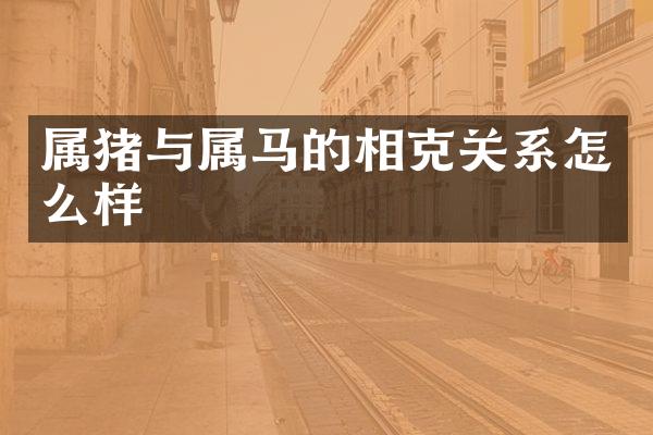 属猪与属马的相克关系怎么样