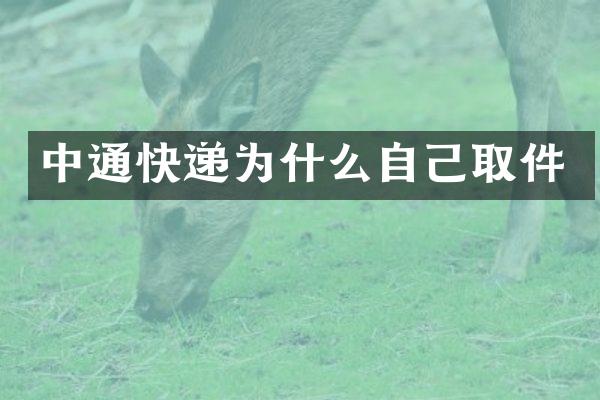 中通快递为什么自己取件