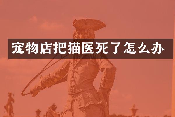 宠物店把猫医死了怎么办