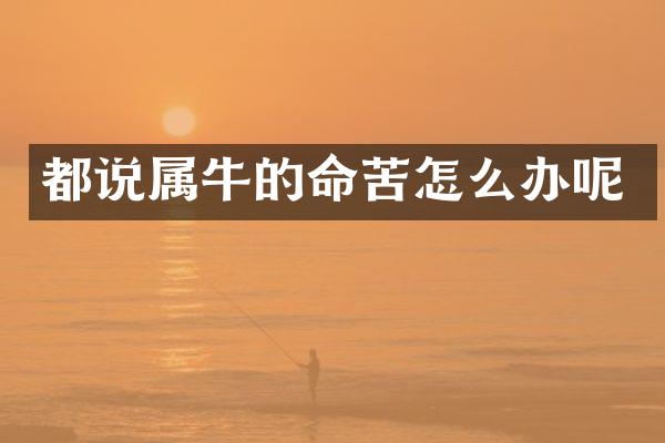 都说属牛的命苦怎么办呢