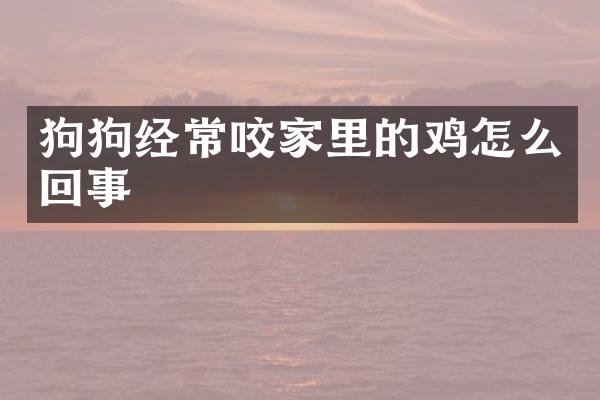 狗狗经常咬家里的鸡怎么回事