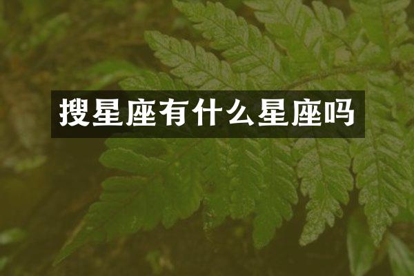 搜星座有什么星座吗
