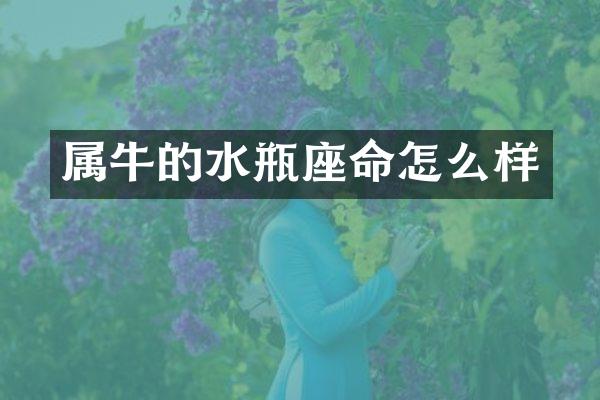 属牛的水瓶座命怎么样