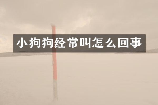 小狗狗经常叫怎么回事