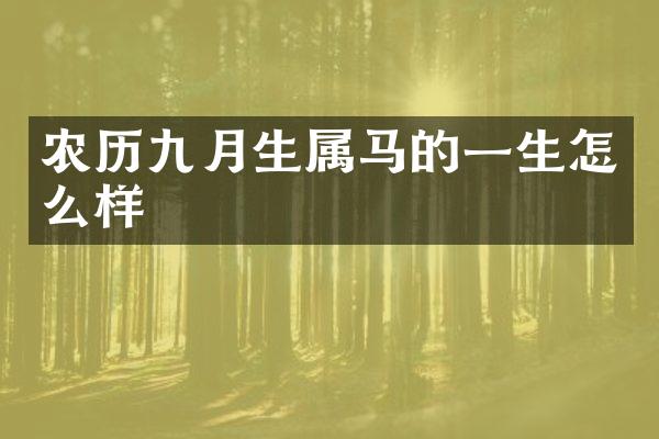 农历九月生属马的一生怎么样