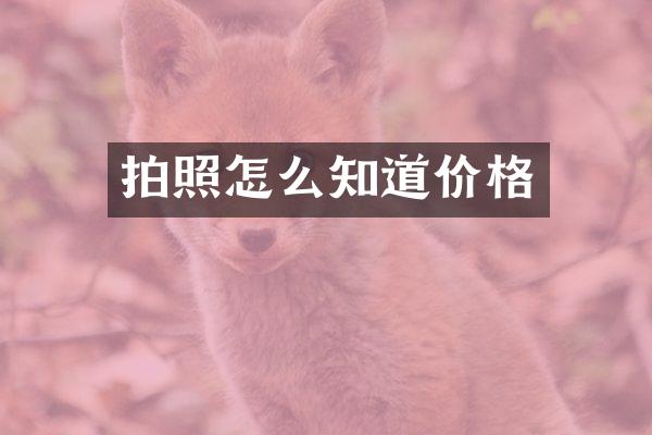 拍照怎么知道价格