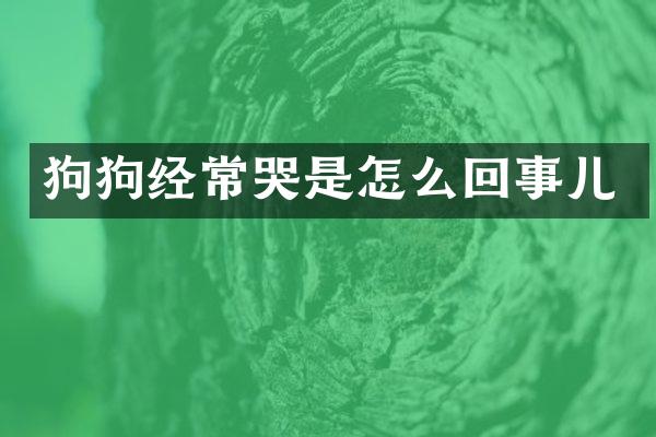狗狗经常哭是怎么回事儿
