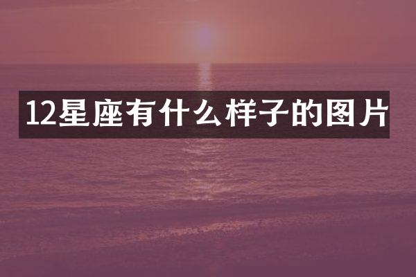 12星座有什么样子的图片