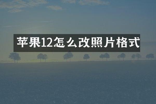 苹果12怎么改照片格式