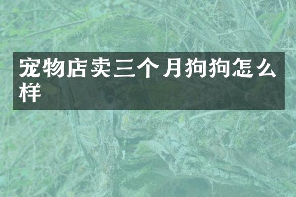 宠物店卖三个月狗狗怎么样