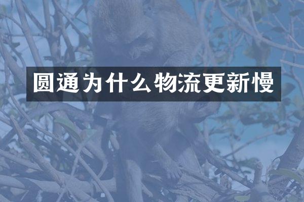 圆通为什么物流更新慢