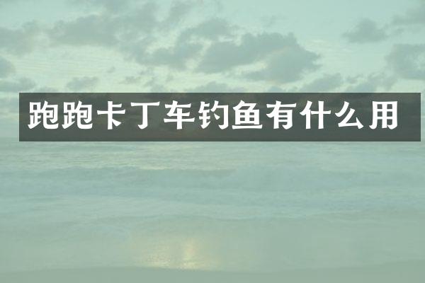 跑跑卡丁车钓鱼有什么用