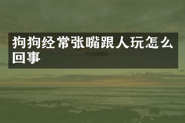 狗狗经常张嘴跟人玩怎么回事