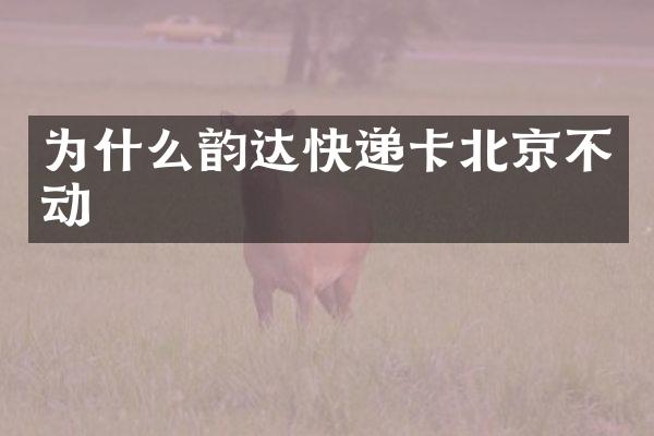 为什么韵达快递卡北京不动