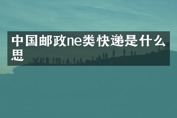 中国邮政ne类快递是什么意思