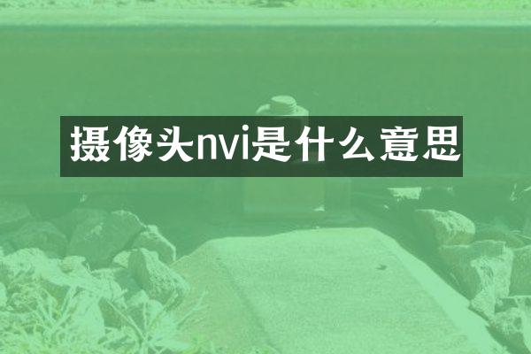 摄像头nvi是什么意思