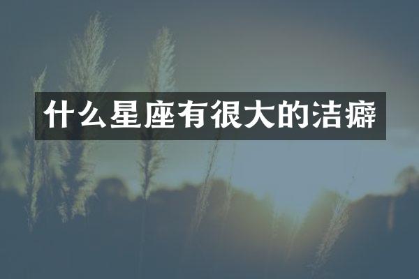 什么星座有很大的洁癖