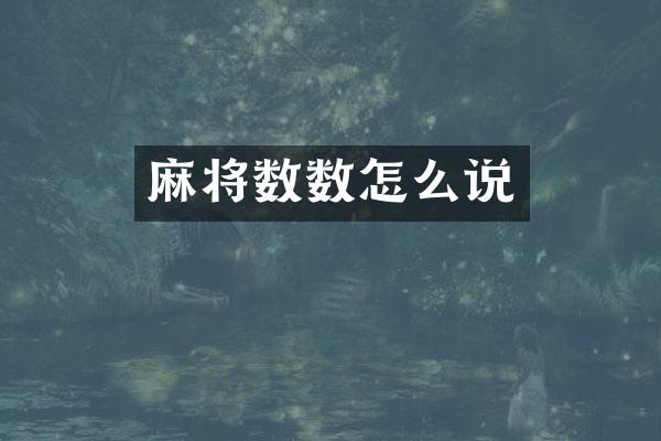 麻将数数怎么说