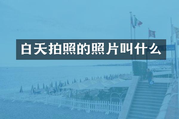 白天拍照的照片叫什么