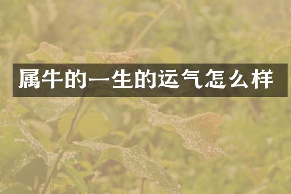 属牛的一生的运气怎么样